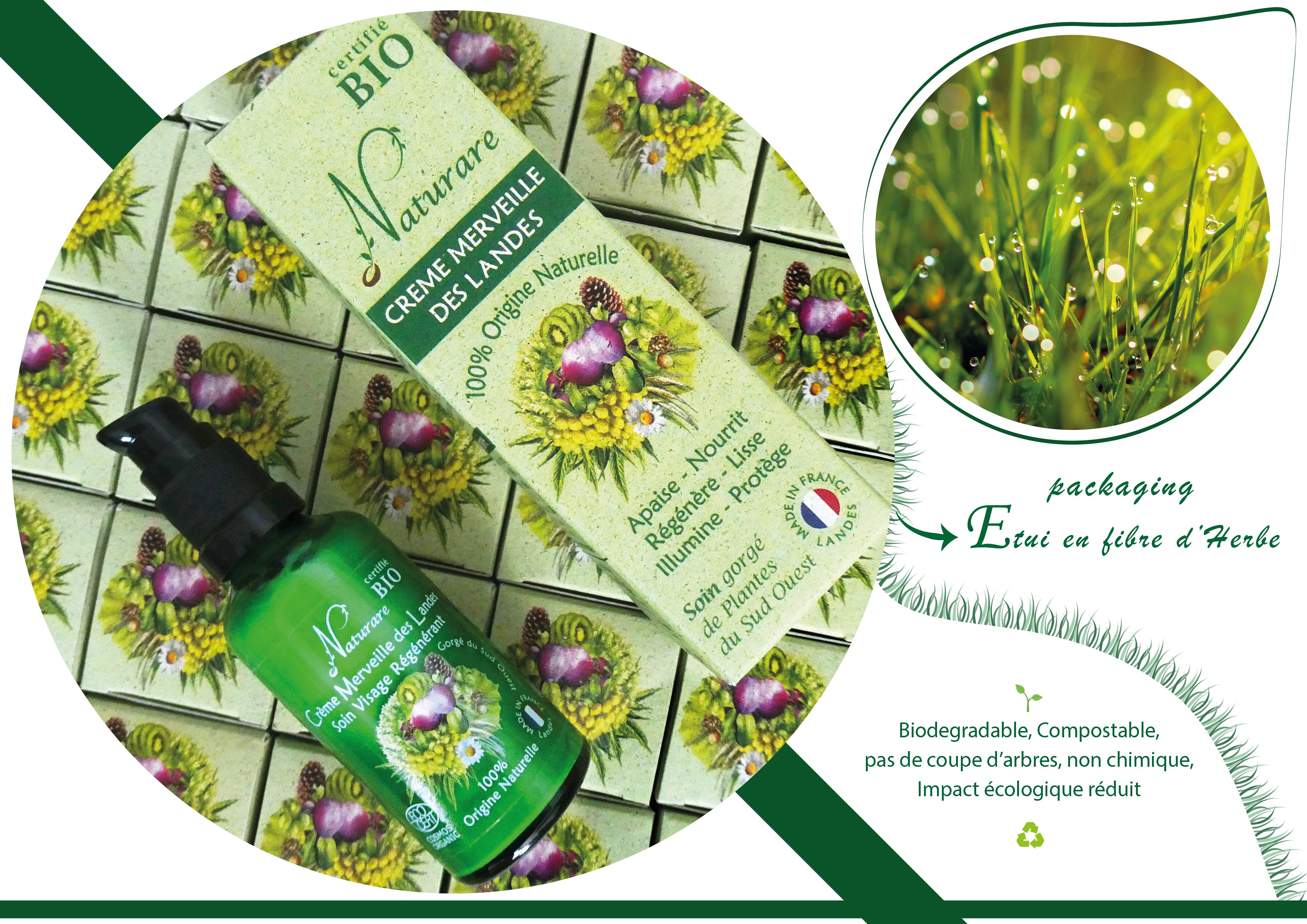 Crème Merveille des Landes Bio – Régénération Intégrale Naturare