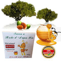 Savon à l'Huile d'Argan Bio & Miel Bio – 150 g